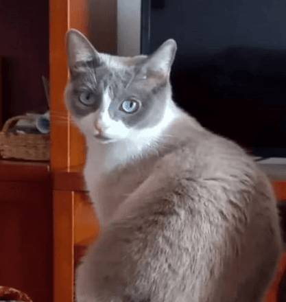 Trudy Mirando A la Cámara Sentado